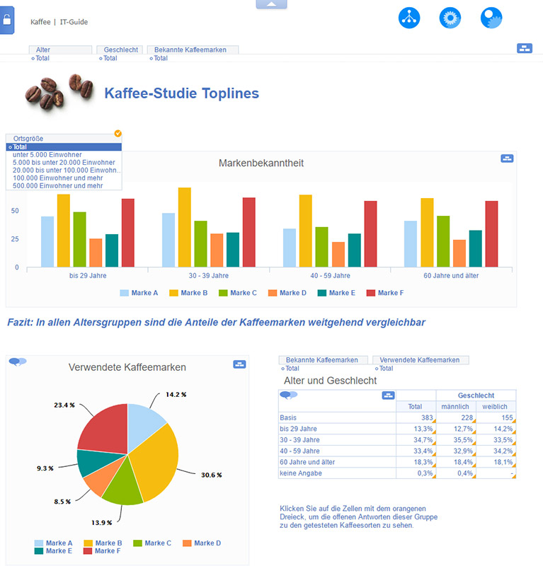 Bestes von reportbook: zu sehen ist ein Dashboard Beispiel für Marktforschung