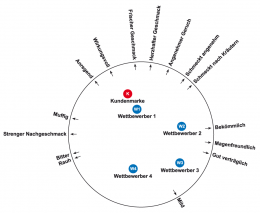 Die Abbildung zeigt die MDS von 5 Kräuterlikörmarken auf der Basis von 15 Eigenschaften. Die Multidimensionale Skalierung der Daten der ersten Welle lieferte das in der runden Grafik dargestellte Ergebnis.