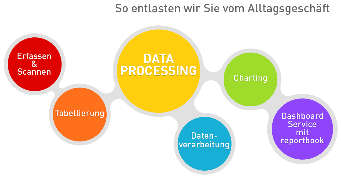 Die mehrfarbige Grafik zeigt 6 zusammenhängende Kreise für die 6 Services Scannen, Erfassen, Codierung, Tabellierung, Datenverarbeitung und Charting